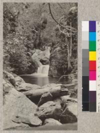 Falls on Big Creek, section 28. Camp Califorest, 1923