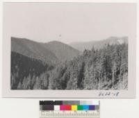 Cascade Head Experimental Forest looking N. from clear-cut 1951 area along Oregon Coast over 100 years old; stand of 75% hemlock, 25% spruce. They are cutting this in blocks about 600 ft. across. Some trouble with windfall. Metcalf. October, 1952