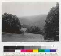 Redwood Region. Looking down into Martin Creek gulch, Big River basin, from road on Howard Ranch to Williams Ranch. Sec. 2, T17N, R14W, looking SE. 6-20-42, E.F