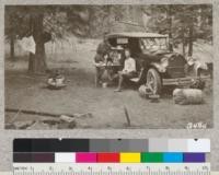 Camped under the Big Trees at Tuolumne Grove, June 1925. The tree shown at the left is a thrifty young Sequoia about 75 ft. high and about 50 years old. Others of this age and older are found throughout this grove. Reproduction of Sugar Pine along road embankments is excellent in this vicinity