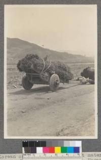 Korean cart loaded with basket material and roof thatch (Rice straw). Unsan, Korea