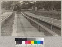 Seed beds in the Pacific Lumber Company. Nusery supports for shade frames are made from 2 x 4 Douglas fir and the amount used is approximately 100 board feet per 48 lineal feet of bed at a cost of $2.00 in each place. The lath frames are 8' x 4', costing 48 cents each for labor and unpainted materials. Fence shown in the background uses three strands of barbed wire and one 1" x 6" No. 3 board as a protection to cattle; costs $1.80 per rod to set up