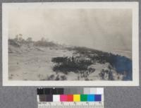 Shifting Dunes. Long Lake, Ind. October 16, 1920. H.M. Severance