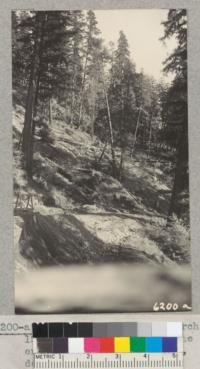 The heavy rains of March 1938 caused sloughing of the entire hillside of redwood, douglas fir and associated species along the redwood highway near Lane's Flat. March '38