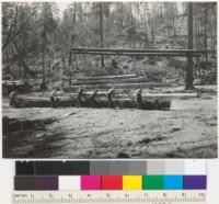 Redwood Region. Centralized peeling. Casper Lumber Company, landing at Camp 20. End of railroad. Trucks dump logs at this landing, bulldozer turns them for peelers and pushes bark over bank for burning. See also 7000. 8-14-41. E. F