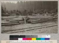 The storage yard at South Fork Station. Redwood piles in foreground--old growth. Cross ties in background. 9-2-28, E.F