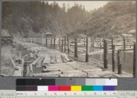 Log booms of Albion Lumber Company. Note that logs are rafted together to facilitate pulling toward foot of log haul-up at the mill. Pond is on tide water. Albion, California. May, 1920. E.F
