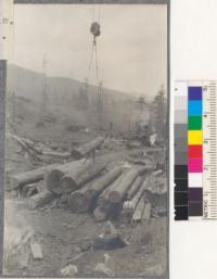 Pictures 118-122 show operation and detail of the two pole overhead cable loader designed by Mr. Hind of this company. 118 is view across pile of logs waiting to be loaded, showing the loader in background. Holmes-Eureka Company, Humboldt County. 5/25/15