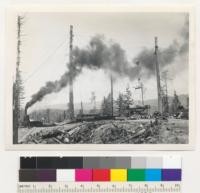 Redwood Region. William Hess' landing on ridge above Elk Rivers (between Main and South Forks). Pole to right is the yarding pole. Loading logs onto white trucks. Yarding donkey to left. Loading donkey at extreme right. See also #7099-7101. 5-13-42, E.F