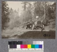 Loading redwood on trucks near Santa Cruz, with cross hand