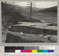 Redwood stump #1560. South of Scotia. 14 ft. diameter, about 1500 years old when cut 50 years ago. February 1937. E. F