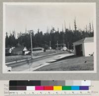 Redwood Region. Sequoia Park, Eureka, California. From middle of block on T Street between Harris and Everding Sts. First photographed in 1920. 8-20-49, E.F