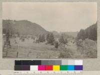 Stump field, bottom land, along Russian River, one-half mile above Monte Rio. View from railroad trestle #77B. June 1, 1922