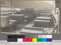 Yards of Albion Lumber Company. Lumber piled from elevated gangways. Albion, California. May, 1920. E. F