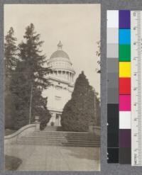 An attractive view of the dome of California's State Capitol. Port Orford cedars at the right and large coast Redwoods at the left. Sacramento, February, 1921