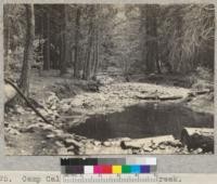 Camp Califorest. Schneider Creek. Upstream from pump intake. June 1936. E.F
