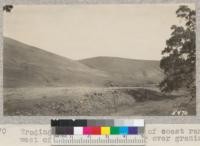 Eroding hills on inner side of coast range west of Williams - result of over grazing. W. Metcalf - Oct. 1931