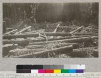 Big River, Mendocino County, California. Redwood Second Growth Cutting Experiment plot. All trees of plot down and made into logs. Note criss-cross order which was responsible for much of the breakage. March 1923, E. Fritz