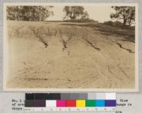 California, Ventura County, along Highway 101. View of eroding field showing cutting and deposition with change in slope grading. February 23, 1932. W.C. Lowdermilk