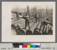 Scaling Logs. Cuts used in First Announcement of courses in Forestry October, 1916. Bruce - negatives