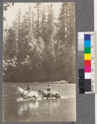 Crossing the South Fork Eel River at mouth of Redwood Creek. View shows the East bank at the point where boundary line of property crosses