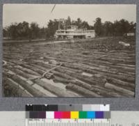 Cypress logging scene in Atchafalaya Basin, Southern Louisiana. In the foreground Cypress logs made into raft. Sinker logs held up by method shown in picture. Stern wheel tow-boat in background. Between raft and tow-boat is seen a mass of water hyacinths, a pest which causes a great deal of trouble on the bayous of this region. The water hyacinths were introduced from some foreign country forty years ago or more. Since then it has spread throughout the streams and obstructs navigation more or less. It has to be cleared at frequent intervals at considerable cost