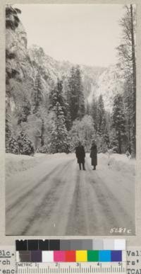 Fresh snow in Yosemite Valley, March 1935, during Camp Directors' Conference. Metcalf