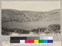 Gullying on slope east of Coast Road near Shelter Cove, San Mateo County, California. Oct. 1932. E. F