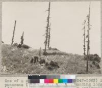 One of a series of 17 views (#5546-5563) in panorama (entire 360 degrees) of surrounding logged-off area, from stump #1046 on University of California experimental area of 1928-1930 in NW 1/4 NE 1/4 Sec. 1 T2S, R2E. Photo at noon in bright sun. 7-7-32, E.F