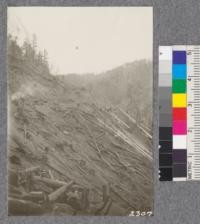 Greenwood logging system, showing type of country encountered. Oct. 1922