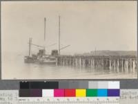 Loading lumber from wharves of Union Lumber Company. Lumber is run down to loading masts by gravity on little 4-wheeled trucks. Union Lumber Company, Fort Bragg, California. May, 1920. E. F