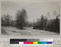 The place where the flood waters down the Verdugo Wash were diverted from the regular channel (shown between trees in center) by the woodland of alders at right and cut 100 yards of Verdugo highway and excavated the bank shown in photo 5651c. Crew of men were digging for bodies. 1934. Metcalf