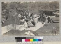 Three members of the Board of Supervisors came out to this fire hazard clean-up day in Madera County. March 1930