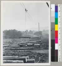 Redwood Region. Log deck at mill of Sage Land & Lumber Company, Willits, California. Sky line lifts logs to log deck of mill. Peeling is done under the skyline. 8-8-45. E.F