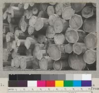 A redwood cold deck at Klamath California Redwood Company, Klamath, California. Logs are from Turwar Creek, and run from 24" to 87" in diameter. 6/28/40 E.F