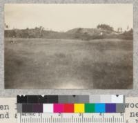 Open land merging into redwood cut-over land along Mendocino coast near Point Arena. 1925