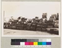 Pile of Sitka Spruce veneer bolts or "rollers". Cut north of Orick, California, trucked to California Barrel Company, Arcata, California. 9-7-36. E.F