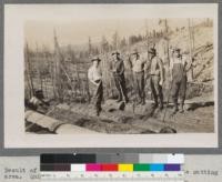 Result of Slash Fire in 1914 on unregulated private cutting area. Quincy, California