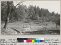 New entrance gate and stile at Howard Forest, Mendocino County, built by Civilian Conservation Corps men from Northwestern Camp, Spring of 1935. Metcalf