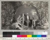 Farm advisors from Kings, Fresno and Tulare Counties visit Whitaker's Forest, October, 1926. Left to right: Sullivan, Benson, Lindsay and Gillette before old Sequoia log cut for shakes. 1926