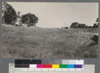 Near view of high meadows shown in No. Density .6 to .8; carrying capacity 80 cows. T.2, S.H.B. R 7 E.H.M., Sec. 2