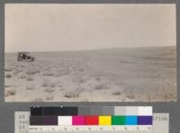 At the left, Mountain Sage (Artemisia pedatifida) reclaiming abandoned farm land. At the right, unplowed range land with very little sage. T.37 R.20 E.P.M., Section 32