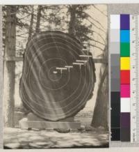 Important dates in history traced on the section of a large tree. Yosemite Valley, August 1922. McCloud, August 1922