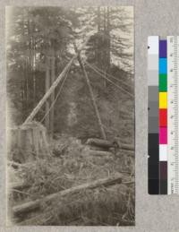 Second Growth Redwood Cutting Experiment, Project #688, Big River, Mendocino County, California. View showing shear legs used in yarding and loading second growth logs on cars. May 1923, E. Fritz