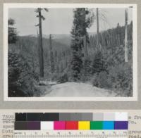 Redwood region. Showing abrupt changes from redwood type to grassland type. H. E. Lumber Company operation. Grizzly Creek, Humboldt County, California. Cutover (1939) in foreground; virgin in background; grass in distance. Looking NE from logging road. 8/24/47 E. F