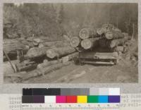 Second Growth Redwood Cutting Experiment, Project #688, Big River, Mendocino County, California. A car of second growth logs arrived at the log dump. Temporary roll-way along the river bank. E. Fritz, May 1923