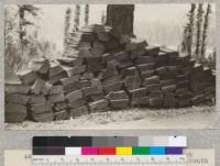 Redwood shingle bolts on Salmon Creek Road, five miles south of Myers, on south fork of Eel River. Each bolt shows interlocked grain. Sample bolt taken to Berkeley. July 1928, E.F