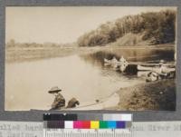 Culled hardwood stands along Huron River, Michigan. Central Hardwood Region