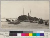 The dock of the E. K. Wood Lumber Company, Oakland, California, showing a "rough pile" and the crew at work tearing it down, sorting it for distribution and storage in the yard. The lumber boat is shown behind the pile. Note use of Ross carrier to take units from dock to yard. September, 1925