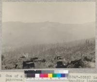 One of a series of 17 views (#5546-5563) in panorama (entire 360 degrees) of surrounding logged-off area, from stump #1046 on University of California experimental area of 1928-1930 in NW 1/4 NE 1/4 Sec. 1 T2S, R2E. Photo at noon in bright sun. 7-7-32, E.F